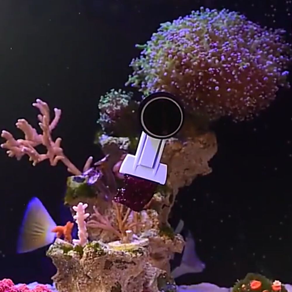 Magnetic Fish Tank Seaweed Veg - مراجعة Aquarium Marine Services وسعره