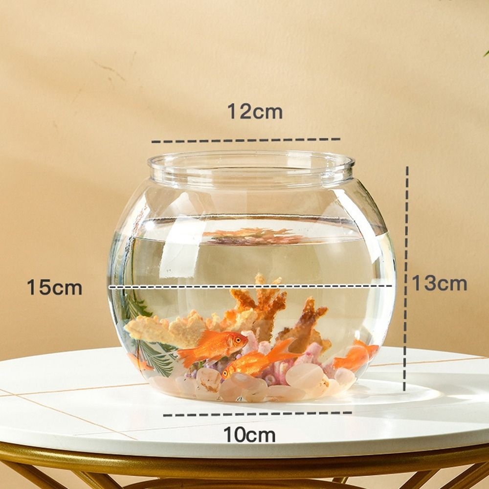Home Decor Clear Transparent R - مراجعة Marine Aquarium Live وسعره