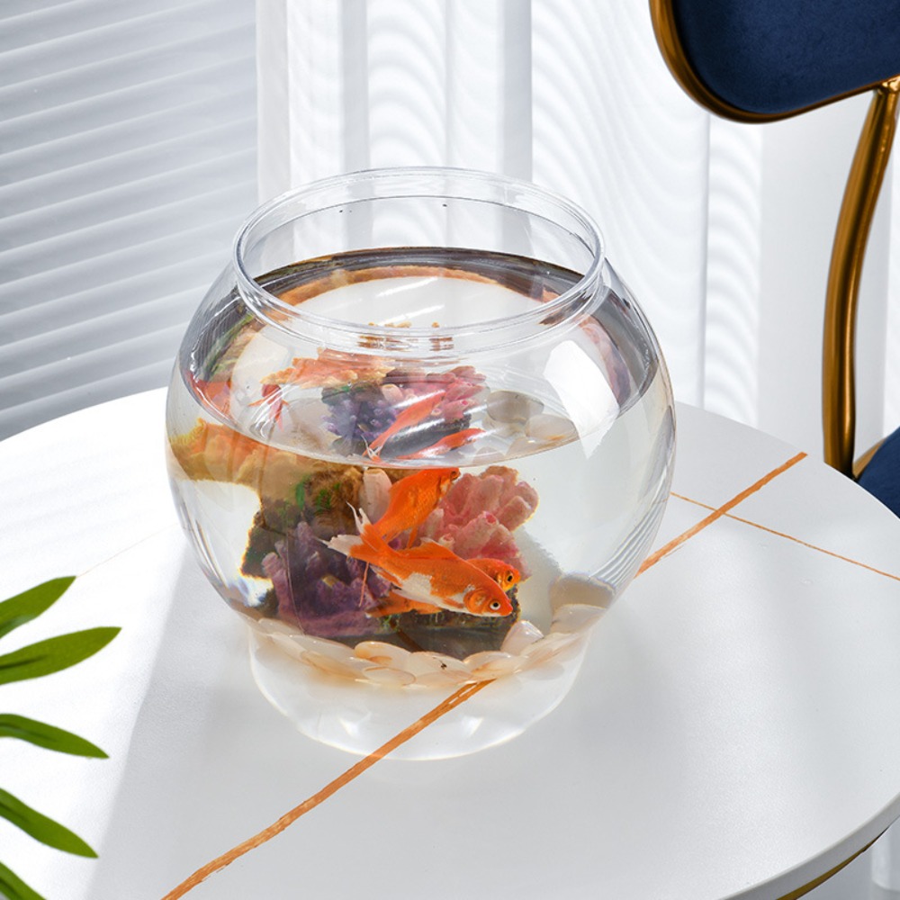 Home Decor Clear Transparent R - مراجعة Marine Aquarium Live وسعره