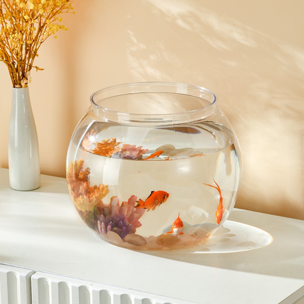 Home Decor Clear Transparent R - مراجعة Marine Aquarium Live وسعره