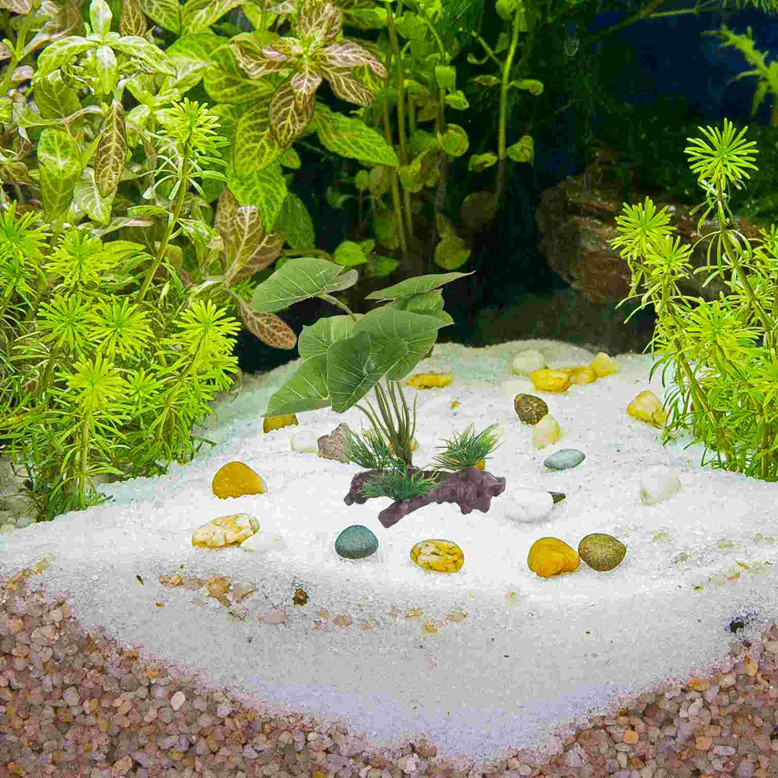 Fish Tank Artificial Water Pla - مراجعة Marine Aquarium Live وسعره