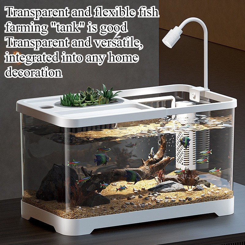 Fish tank household aquarium l - مراجعة Marine Aquarium Live وسعره