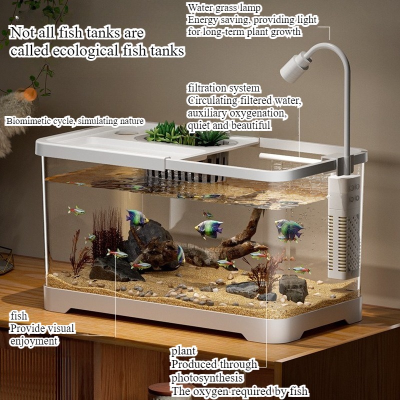 Fish tank household aquarium l - مراجعة Marine Aquarium Live وسعره