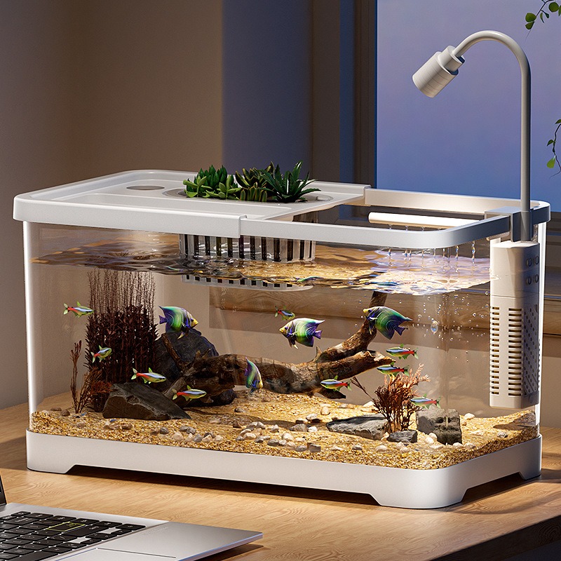 Fish tank household aquarium l - مراجعة Marine Aquarium Live وسعره