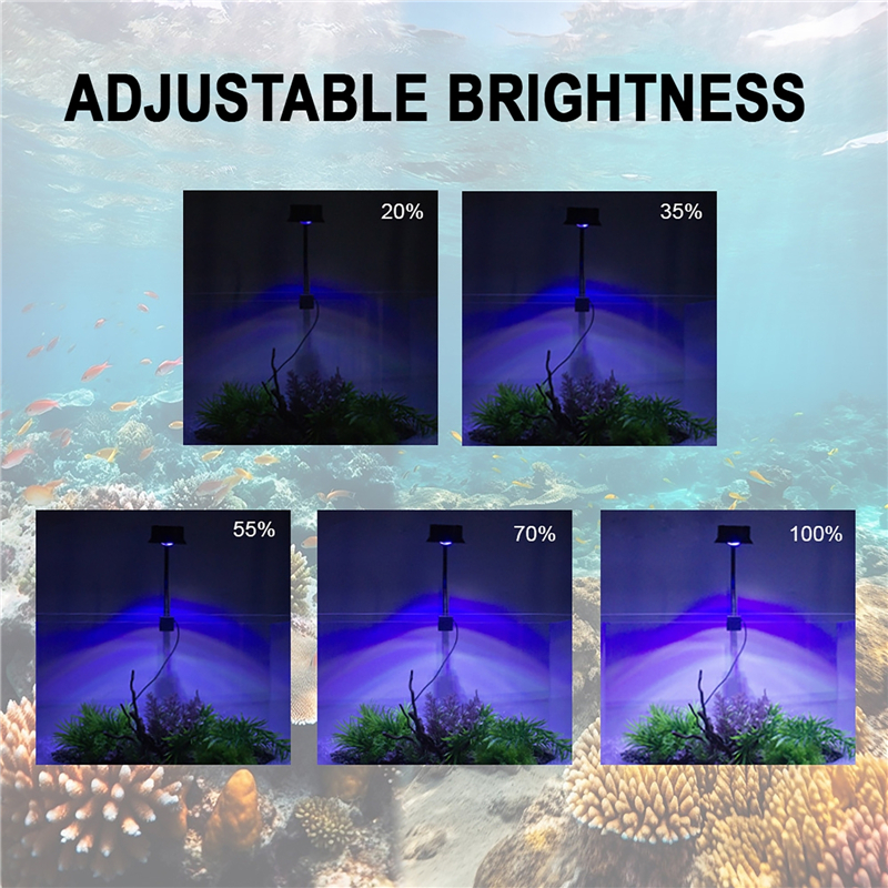30W Aquarium Fish Tank Sea Wat - مراجعة Aquarium Marine Lights وسعره