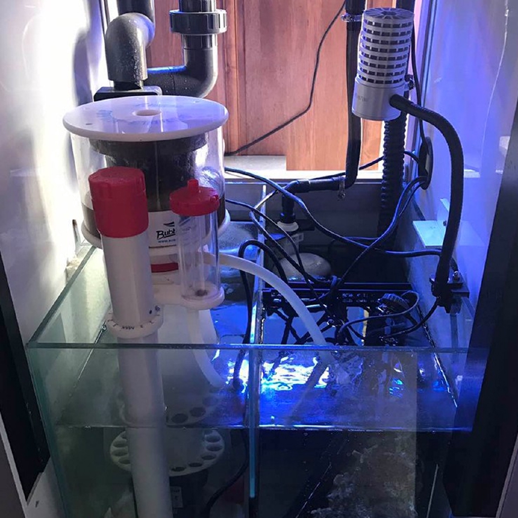 220V Bubble Magus Curve5 Aquar - مراجعة Marine Aquarium Protein Skimmer وسعره
