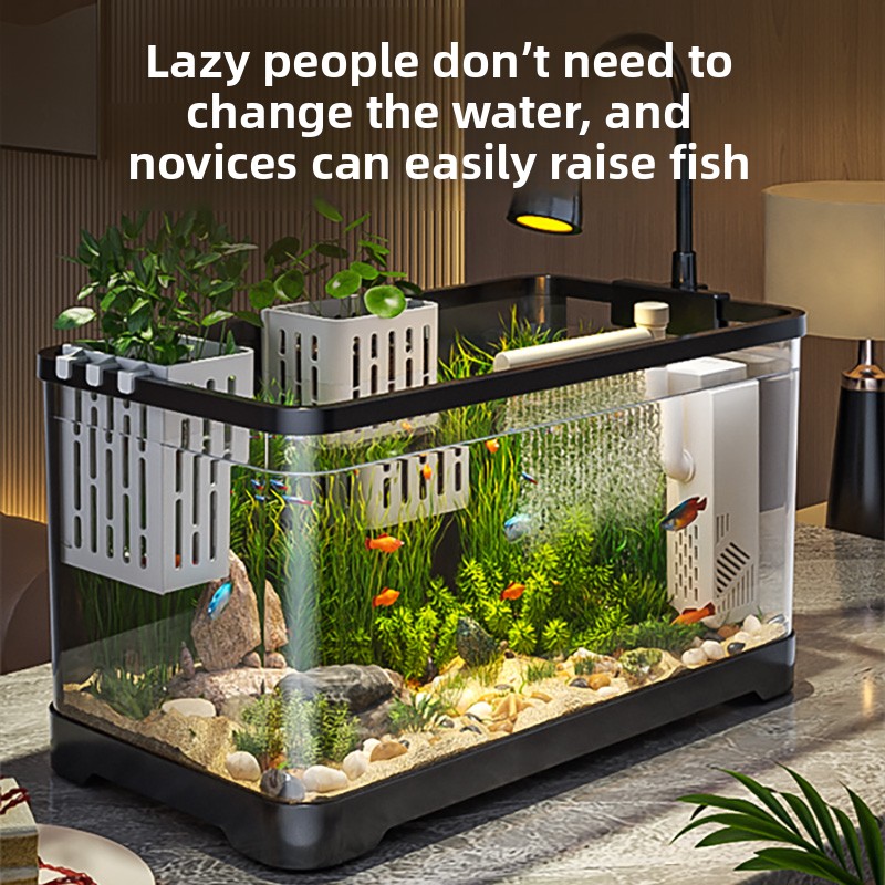 2026 All-in-One Aquarium Filte - مراجعة Marine Aquarium Live وسعره