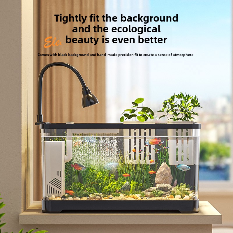 2026 All-in-One Aquarium Filte - مراجعة Marine Aquarium Live وسعره
