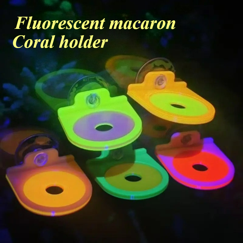 Color Random Coral Frag Holder - مراجعة Marine Aquarium Live وسعره