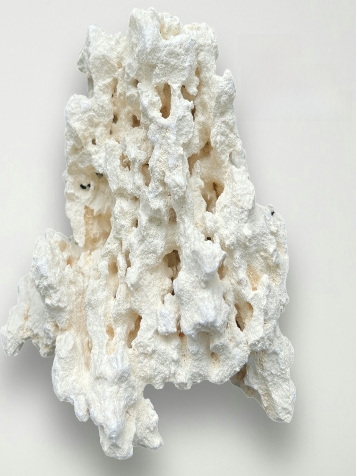 Kilago Dry Rock Natural Coral  - مراجعة Marine Aquarium Live وسعره