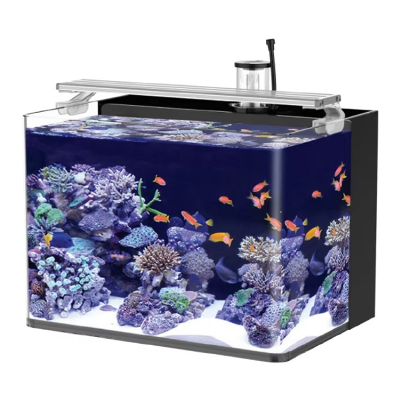 Table Curved Saltwater Marine  - مراجعة Marine Aquarium Live وسعره