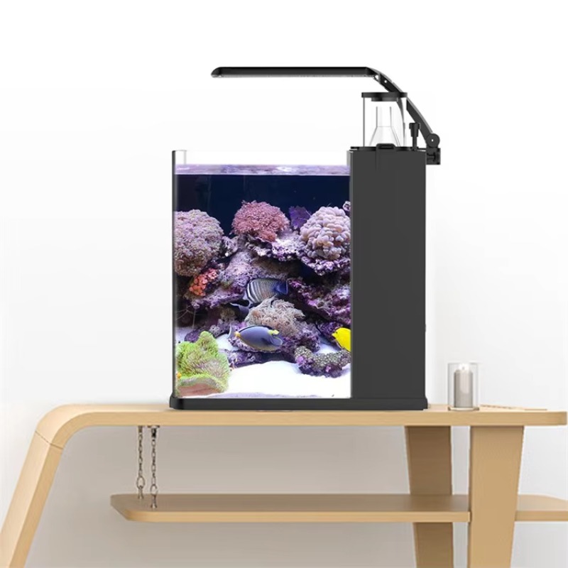 Table Curved Saltwater Marine  - مراجعة Marine Aquarium Live وسعره