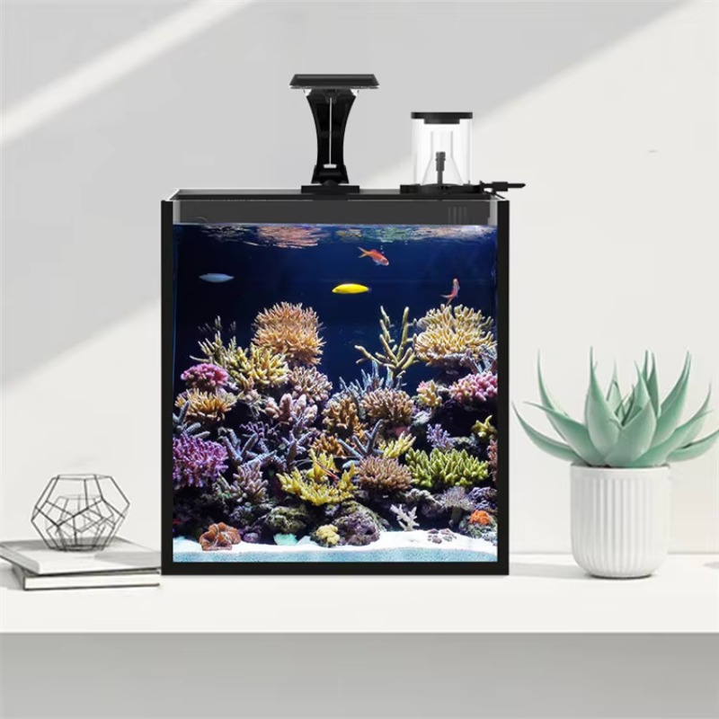 Table Curved Saltwater Marine  - مراجعة Marine Aquarium Live وسعره