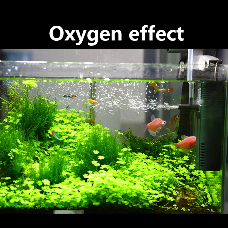 SUNSUN mini nano 111B 311B 611 - مراجعة Marine Aquarium Chiller وسعره
